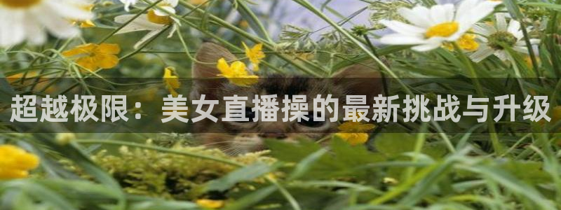 龙门直播官网：超越极限：美女直播操的最新挑战与升级