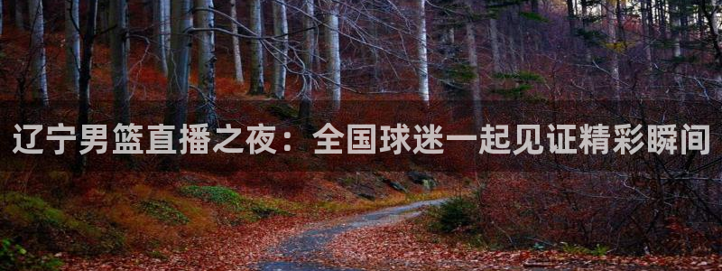 龙门直播体育：辽宁男篮直播之夜：全国球迷一起见证精彩瞬间