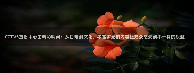 龙门直播吧：CCTV5直播中心的精彩瞬间：从日常到文化，丰富多元的内容让观众感受到不一样的乐趣！