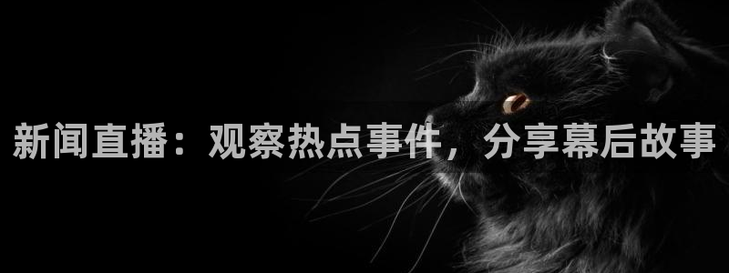 龙门直播间
