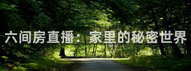 龙门体育直播在线观看