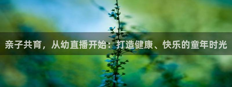 龙门比赛直播