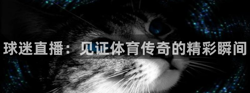 龙门直播app足球直播下载手机版