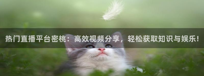 龙门足球直播