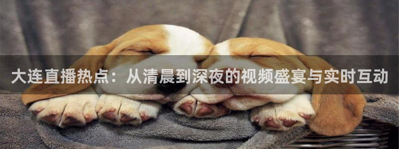 龙门直播app足球直播下载手机版：大连直播热点：从清晨到深夜的视频盛宴与实时互动
