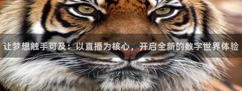 龙门直播体育免费观看：让梦想触手可及：以直播为核心，开启全新的数字世界体验
