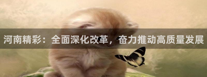 龙门nba直播：河南精彩：全面深化改革，奋力推动高质量发展